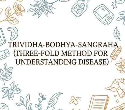 D'vakaso | comprehensive platform which places its focus on providing ...